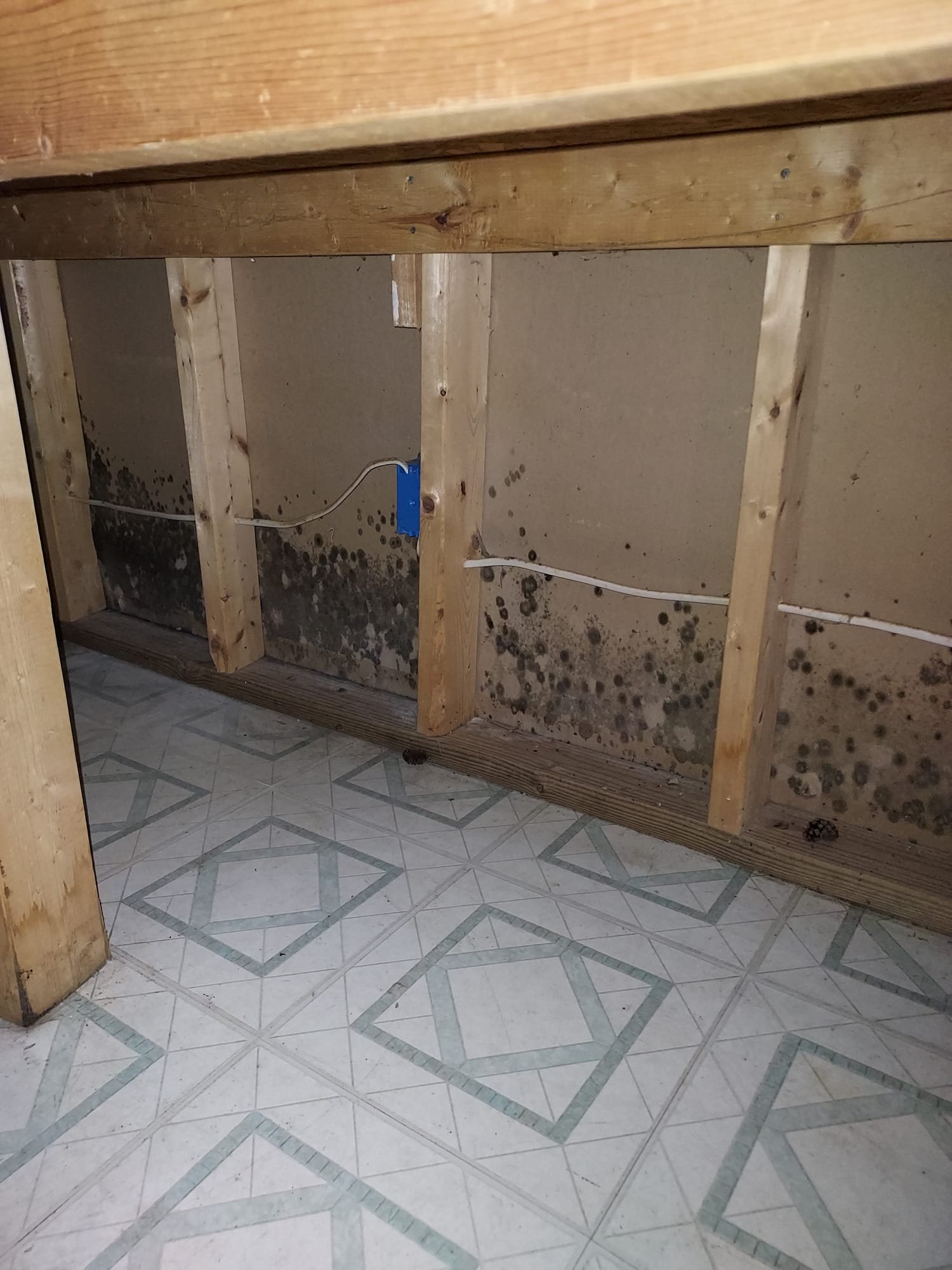 The same area after Camelot mold remediation