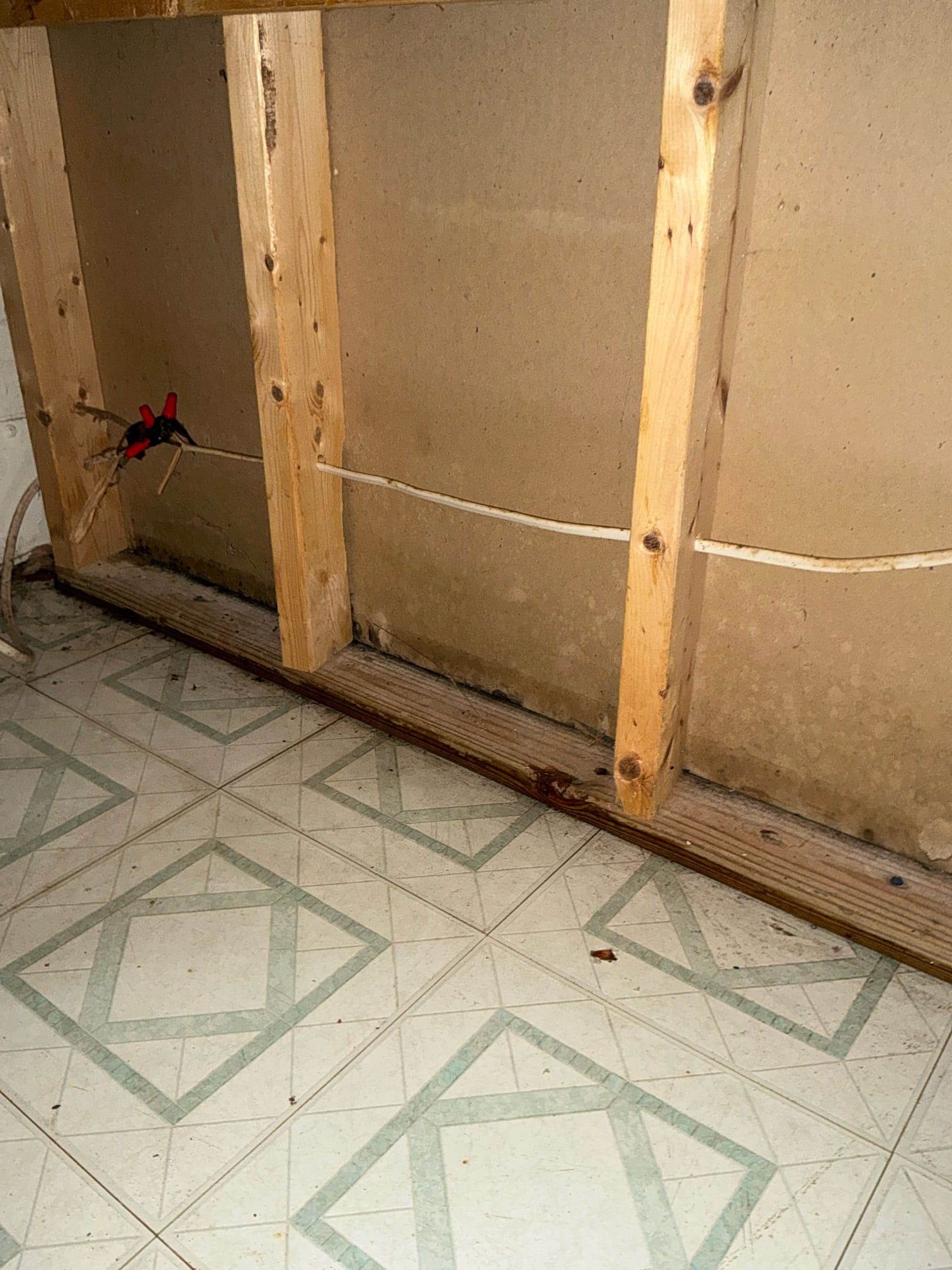 Mold damage before Camelot remediation